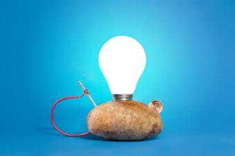 How to Make a Potato Battery in 8 Simple Steps 