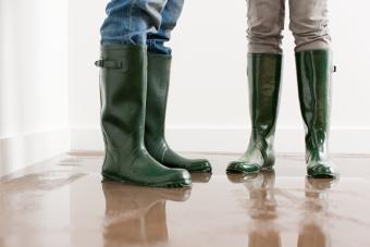 10 Tips for Safe Flood Cleanup (& How to Minimize Damage)